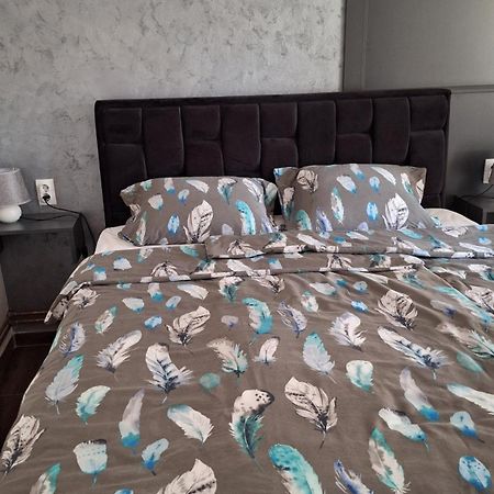 Appartement Stan Na Dan Dunja 2 à Vrsac Extérieur photo