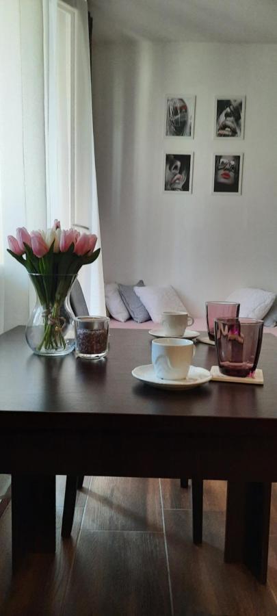 Appartement Stan Na Dan Dunja 2 à Vrsac Extérieur photo