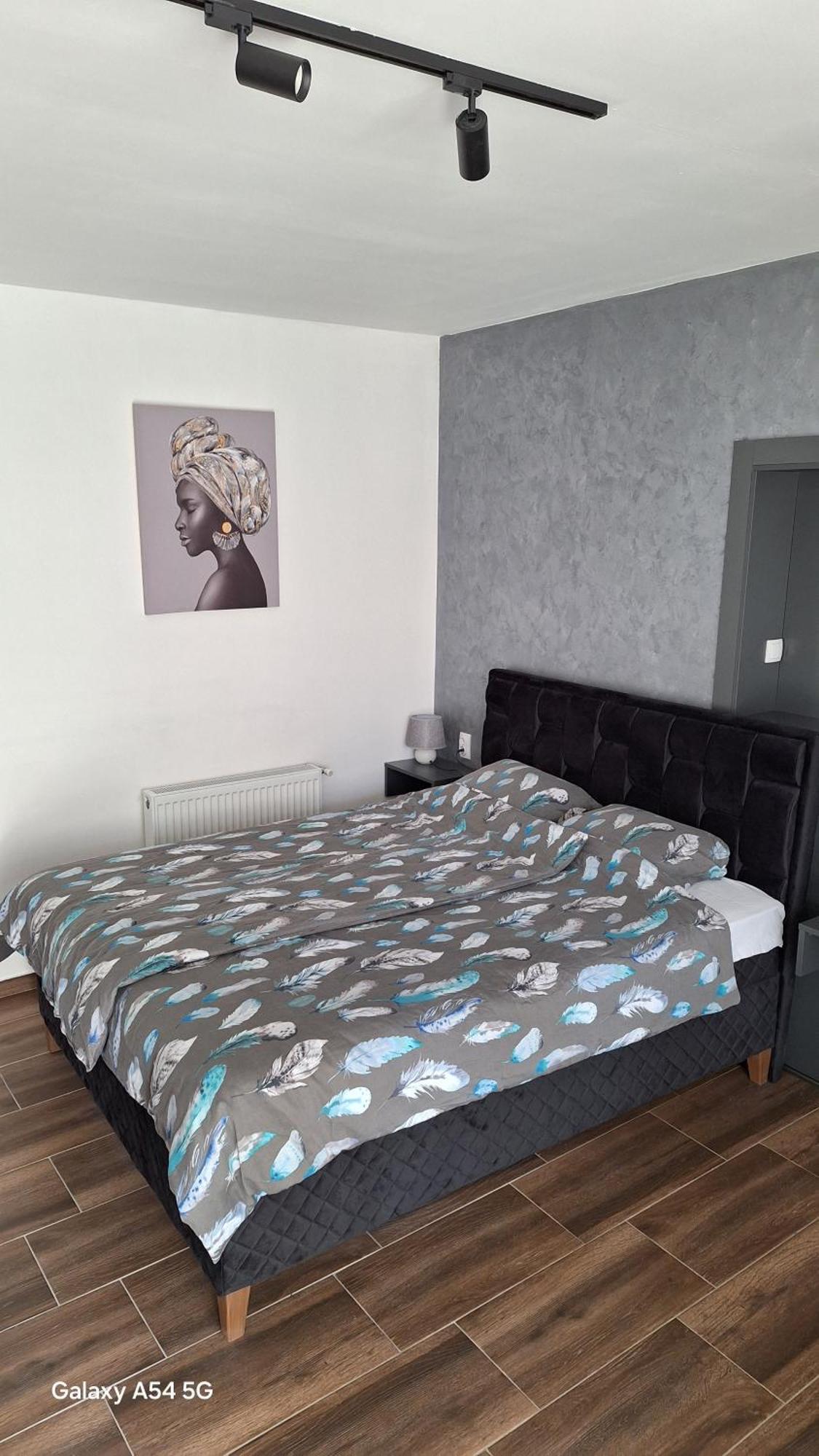 Appartement Stan Na Dan Dunja 2 à Vrsac Extérieur photo