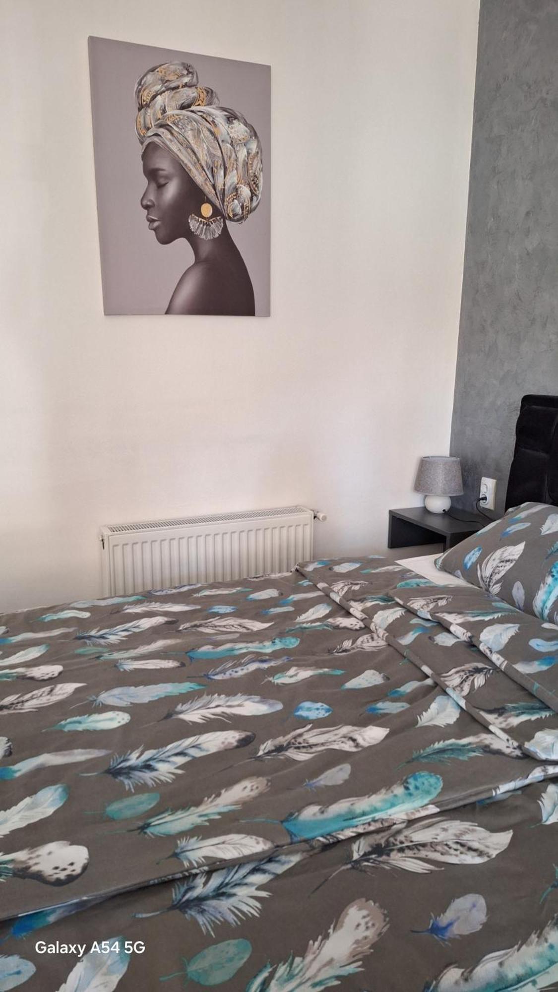 Appartement Stan Na Dan Dunja 2 à Vrsac Extérieur photo