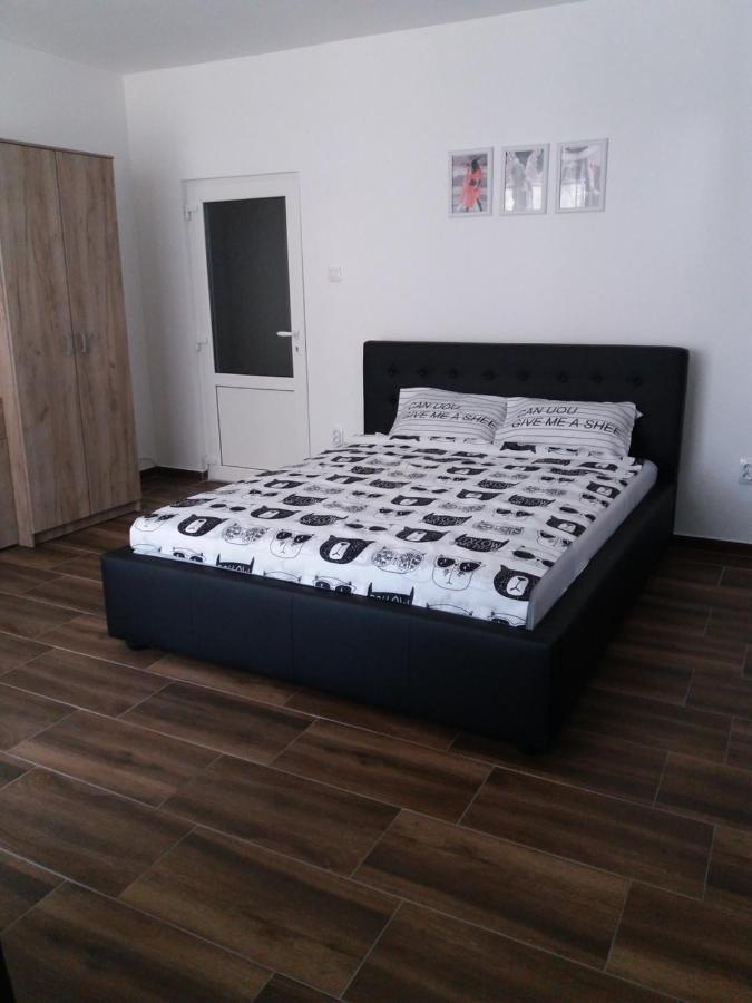 Appartement Stan Na Dan Dunja 2 à Vrsac Extérieur photo
