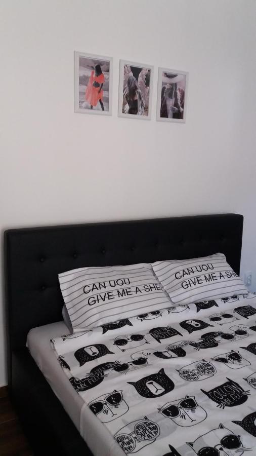 Appartement Stan Na Dan Dunja 2 à Vrsac Extérieur photo